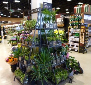 IGA Thunderbird store showcase of floral products
