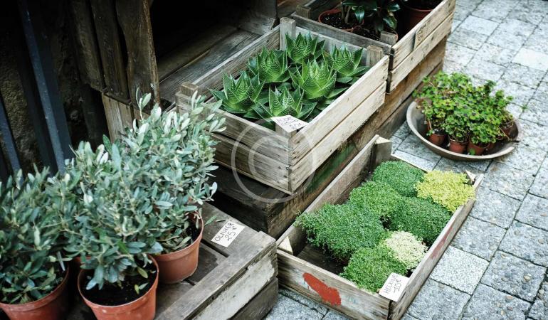 Planters Range