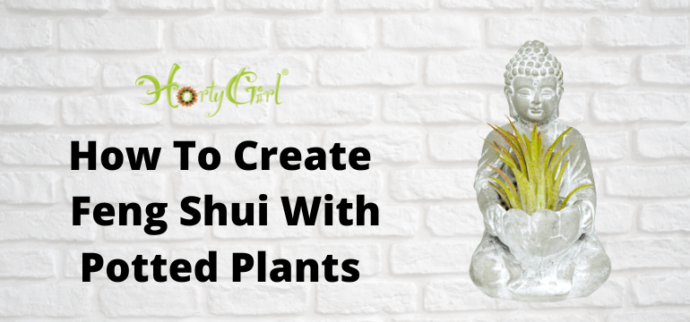 How To Create Feng Shui With Indoor Potted Plants - Horty Girl
