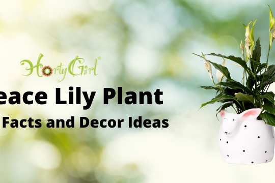 Top Fascinating Facts About Plants - Horty Girl