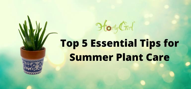 Top 5 Essential Tips for Summer Plant Care