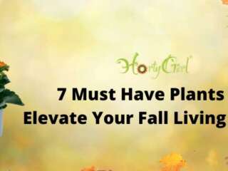 7 Must Have Plants to Elevate Your Fall Living Decor