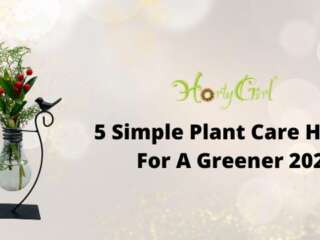 5 Simple Plant Care Habits for a Greener 2026